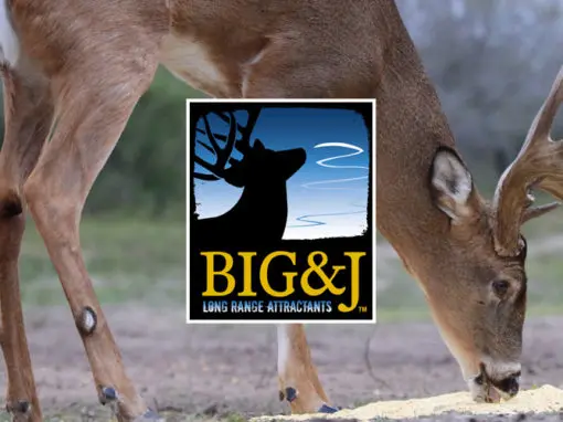 BIG & J