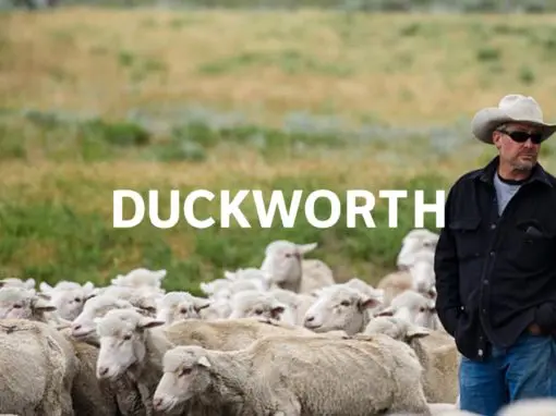 Duckworth