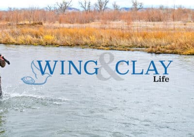 Wing and Clay